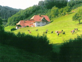 Comfortable holiday home in a beautiful location